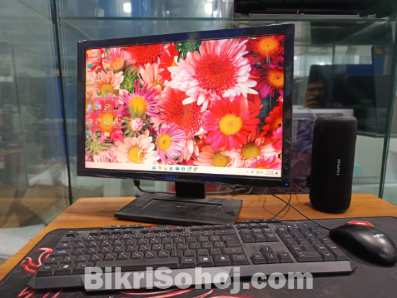 dell hp lg 19 inch monitor